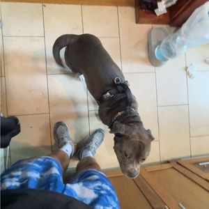 Meet your Posher, Lavand